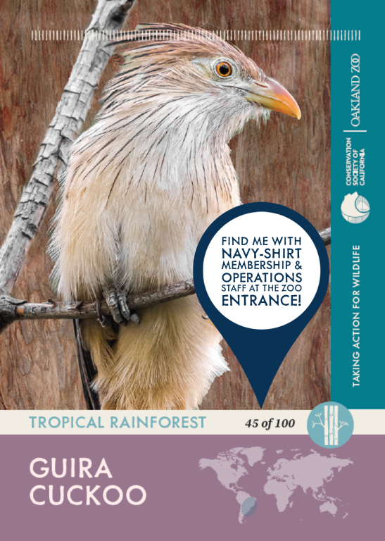 Oakland Zoo Oakland Zoo Trading Cards